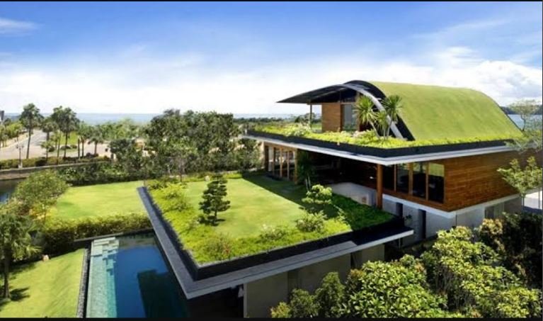 The Rise of Eco-Friendly Homes and Sustainable Real Estate